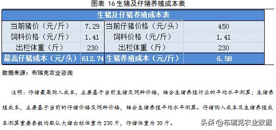 管家婆一票一码100正确河南,综合计划评估_DBI49.693开放版