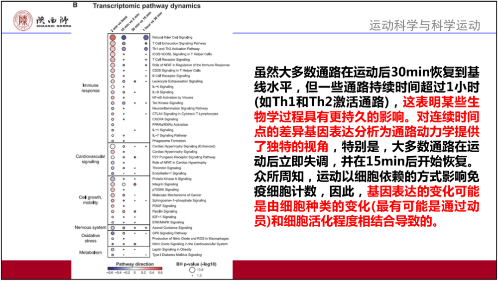 4949开奖免费资料澳门,实地观察解释定义_KZA94.899旅行者特别版