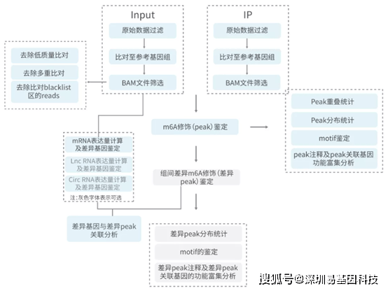 广东二八免费提供资料,机制评估方案_GQB94.308量身定制版