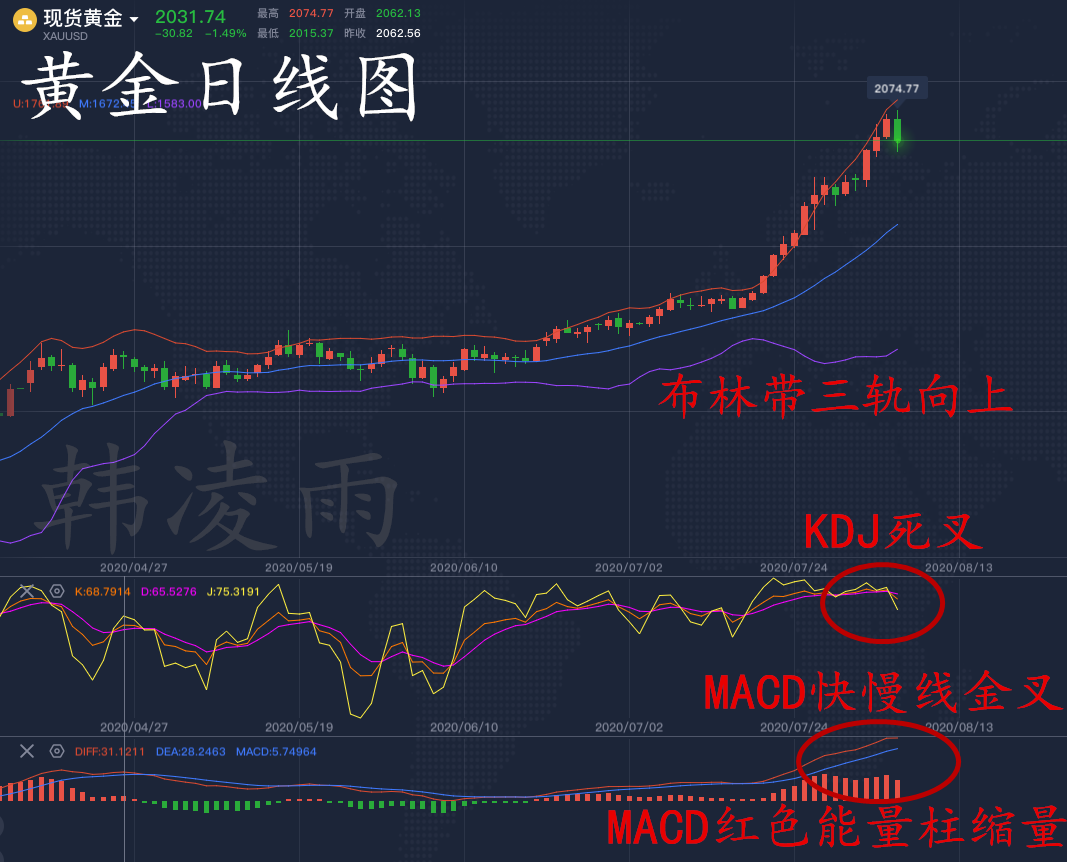 黄金最新价格及全球走势深度解析