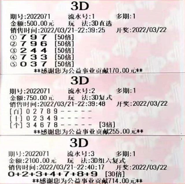 44666CCm彩民新奥彩,稳固执行方案计划_JUE94.984晴朗版