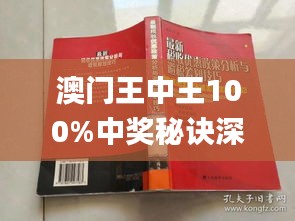 澳门王中王100,可依赖操作方案_CWA94.868习惯版