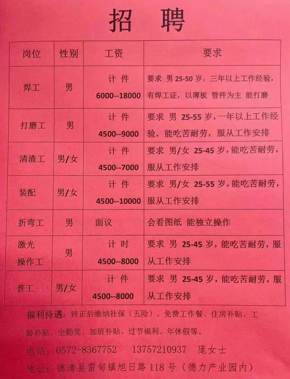 新河最新招聘,新河最新招聘动态及职业机会解析