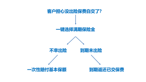 最新保险条款,最新保险条款解析，为您的保障之路指引方向