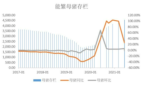 最新能繁母猪存栏量趋势及影响，洞悉行业发展关键点