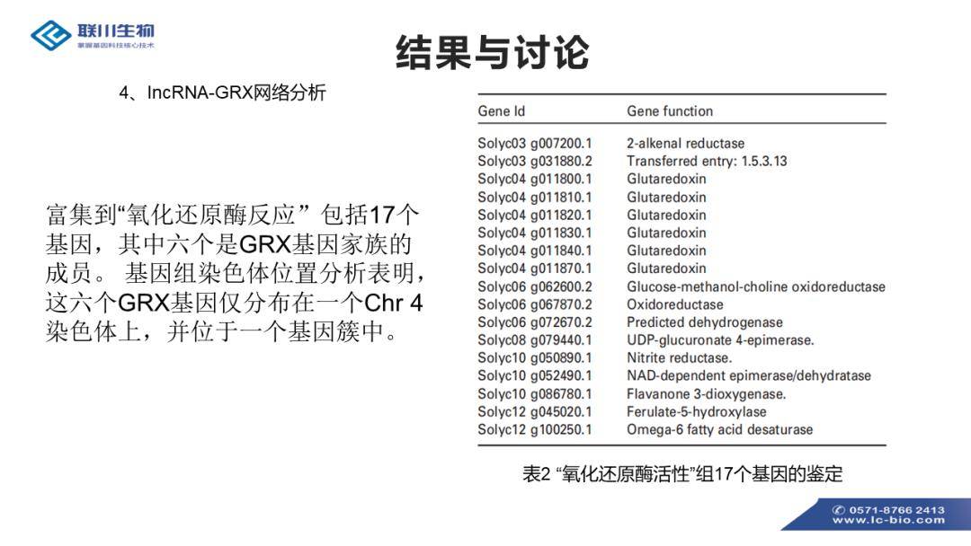 新奥门免费资料大全在线查看,标准执行具体评价_XCI19.641钻石版