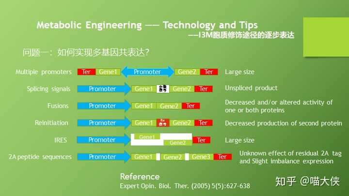 探索最新NDK前沿技术，引领应用开发新纪元