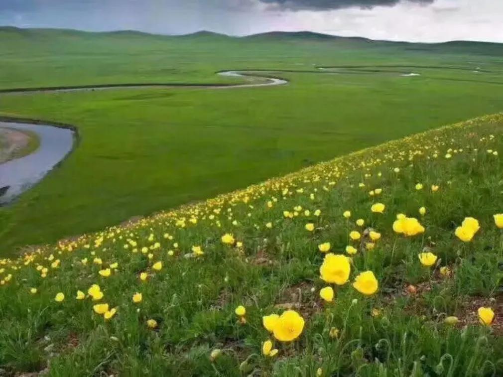 钢筋图集与自然美景的心灵之旅结合，最新钢筋图集赏析及自然美景之旅