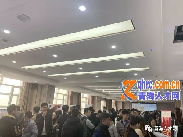 青海人才市场最新招聘动态及深度分析