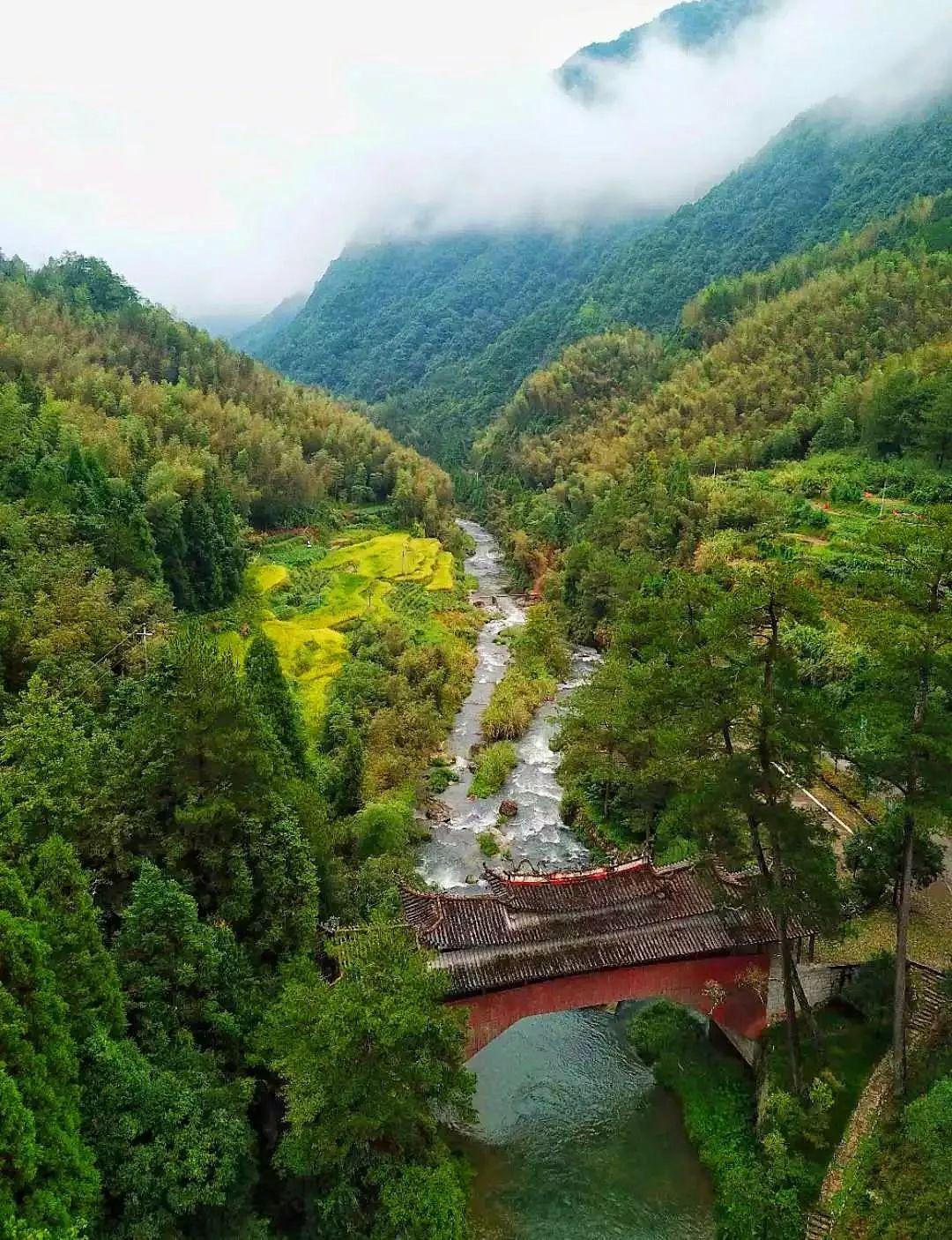 虹桥人才网最新招聘信息，城市人才的温馨寻觅之旅