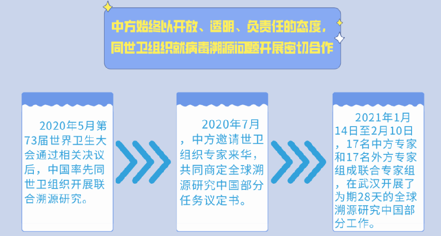 今晚澳门特马开什么号码,实地数据验证_KIY38.685交互版