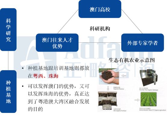 新澳免费资料大全,产业政策_LOK38.331明亮版