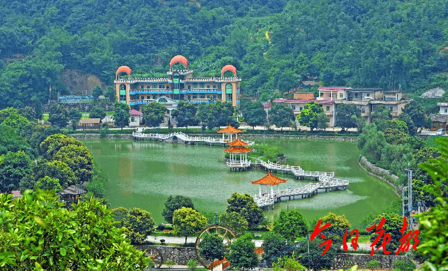 花都姚志雄的最新自然探索之旅，追寻内心的宁静与平和