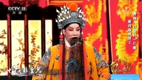 山西晋剧谢涛最新演唱，传统与现代的完美交融