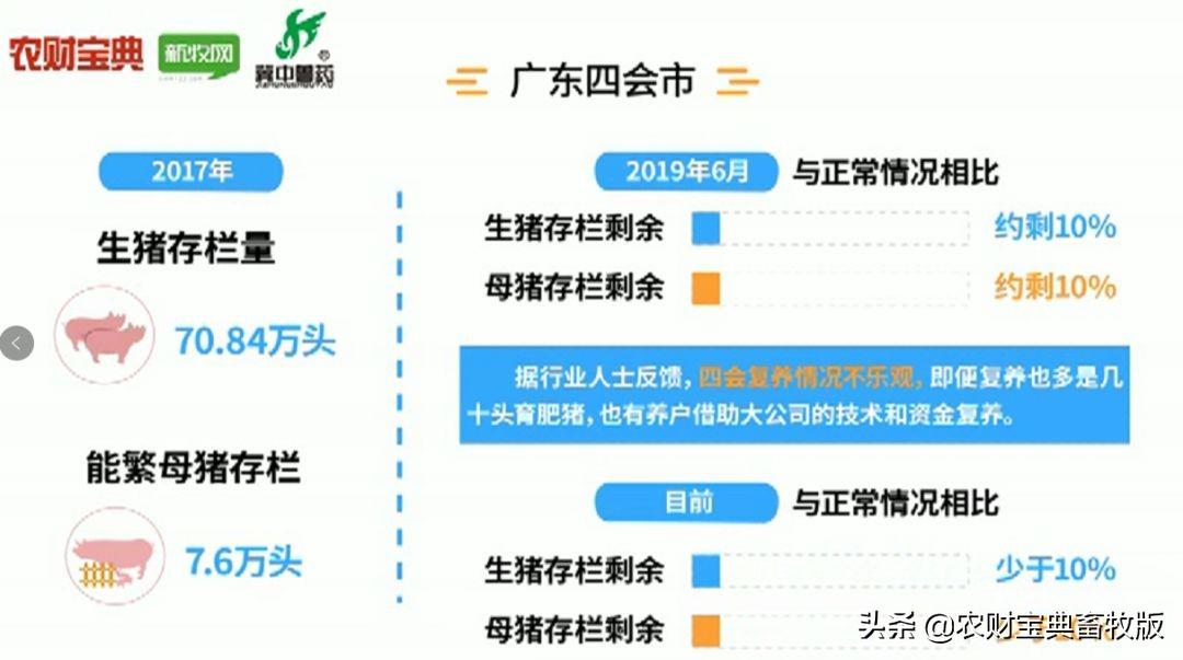 四会市生猪最新报价及获取指南