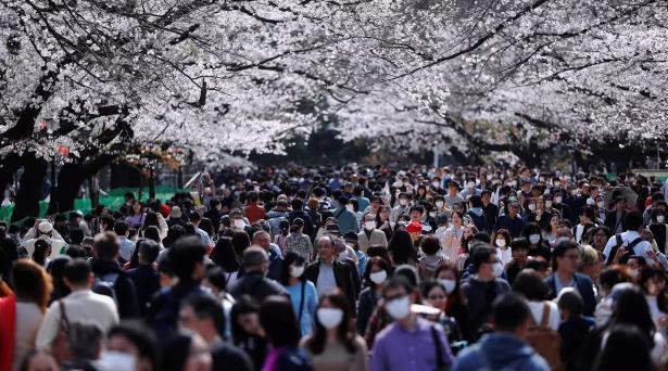 日本昨日地震更新报道，最新地震消息