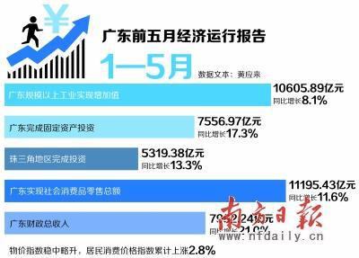 广东二八免费资料,处于迅速响应执行_MYX83.312DIY工具版