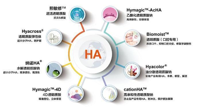 新奥门免费资料大全精准正版优势,科学数据解读分析_投影版1.208