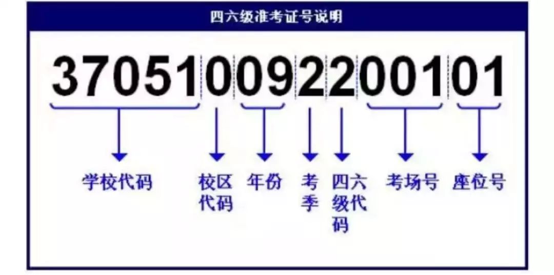 137321澳门六开奖查询,安全保障措施_图形版5.911