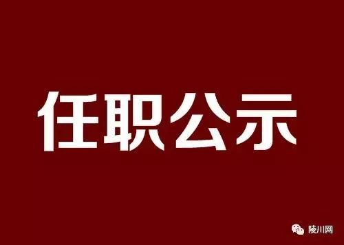 陵川组织部最新公示，小城日常与友情纽带展现温馨纽带