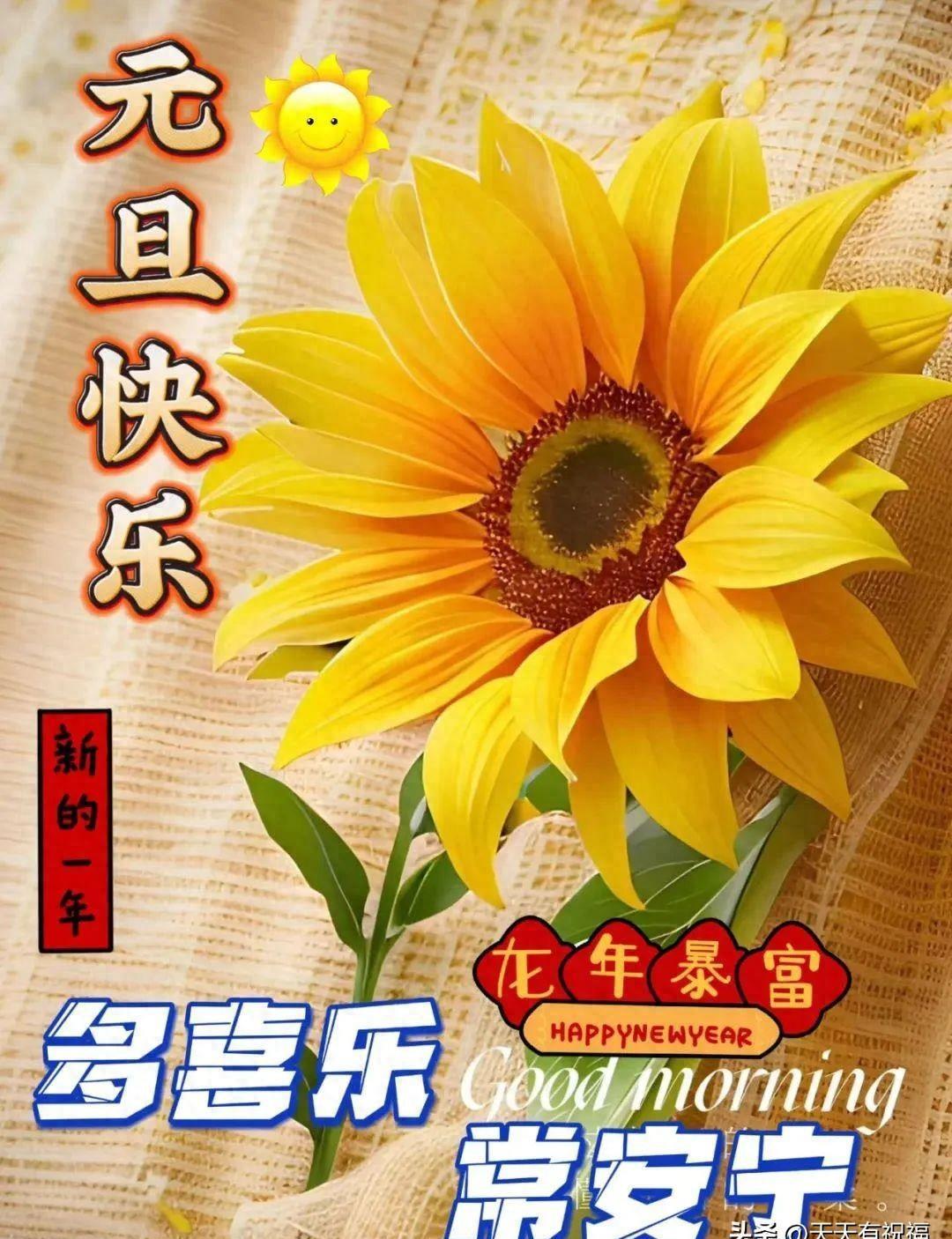 元旦祝福融合传统与创新，最新祝福背后的思考