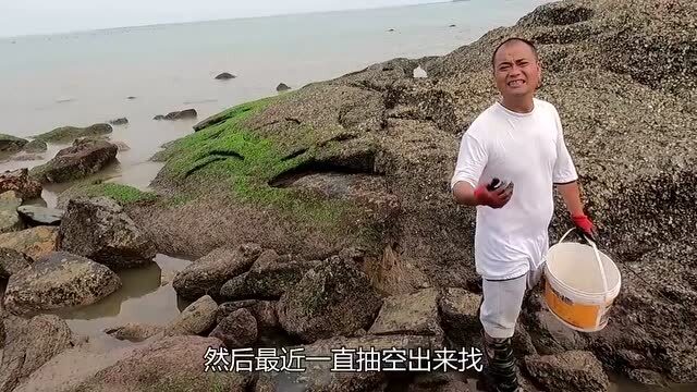 最新大熊赶海步骤指南，从潮汐到收获的全过程揭秘！