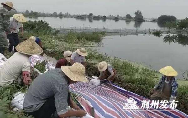 太湖汛情下的励志故事，自信与成就感的蜕变之旅