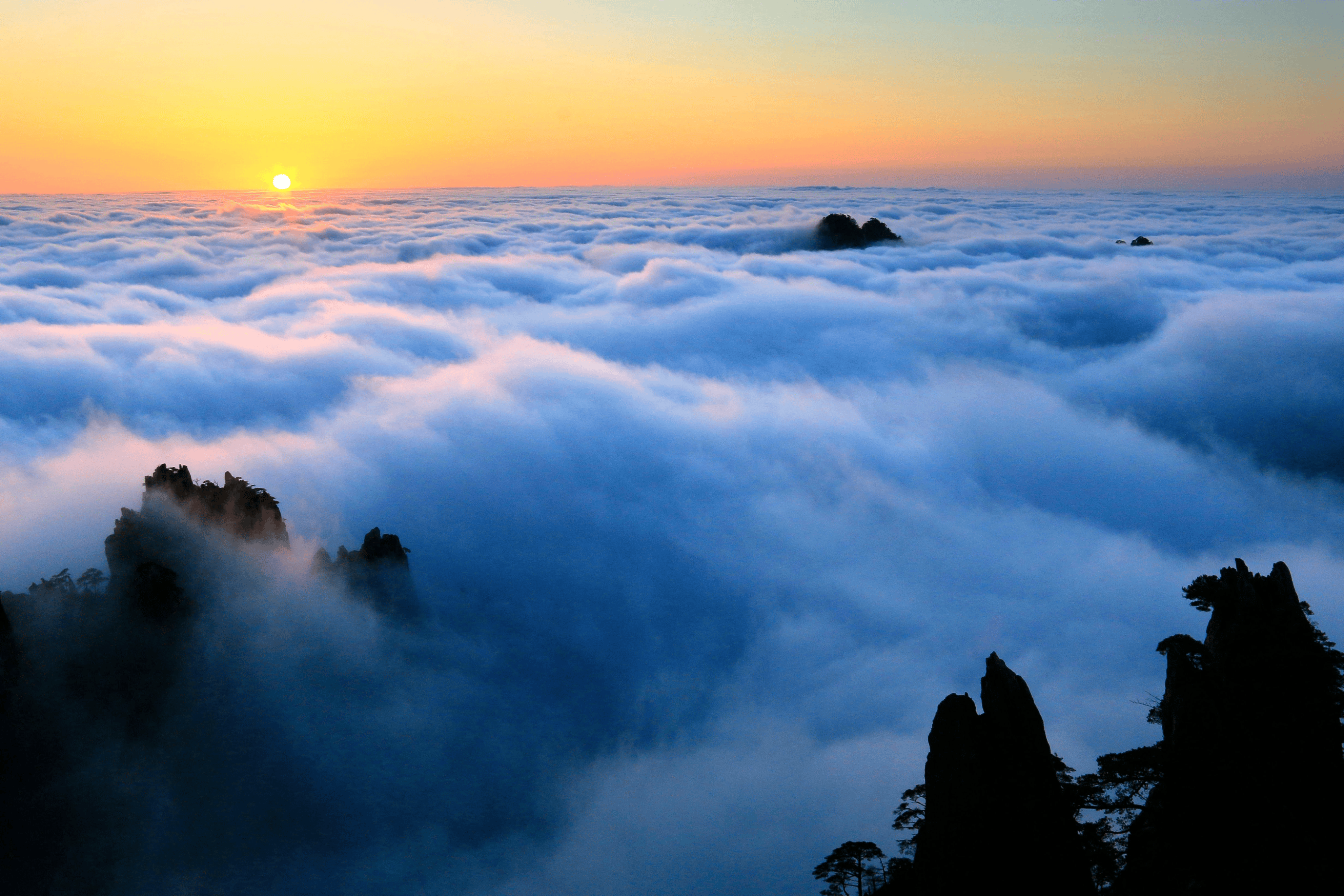 黄山最新云海，探寻自然美景之旅，洗涤心灵，启程人生之路