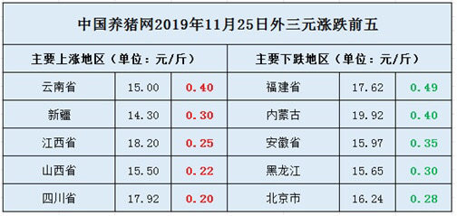 科技引领未来，智能应用重塑鸡肉市场新生态，今日鸡肉价格行情分析