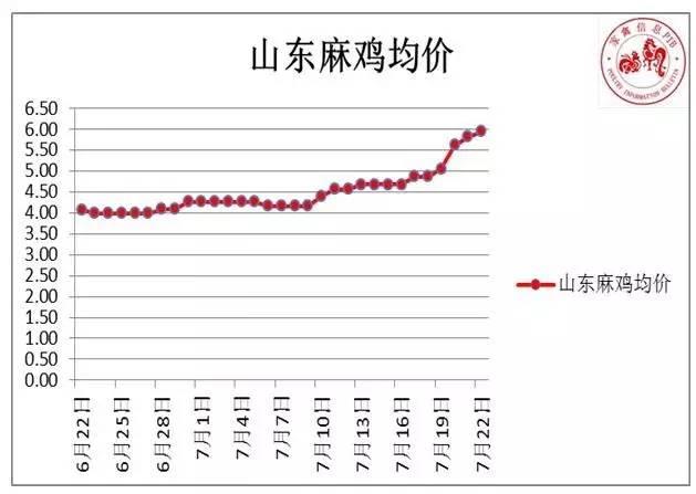 今日皖北麻鸡最新报价与市场分析，获取报价指南及深度市场分析