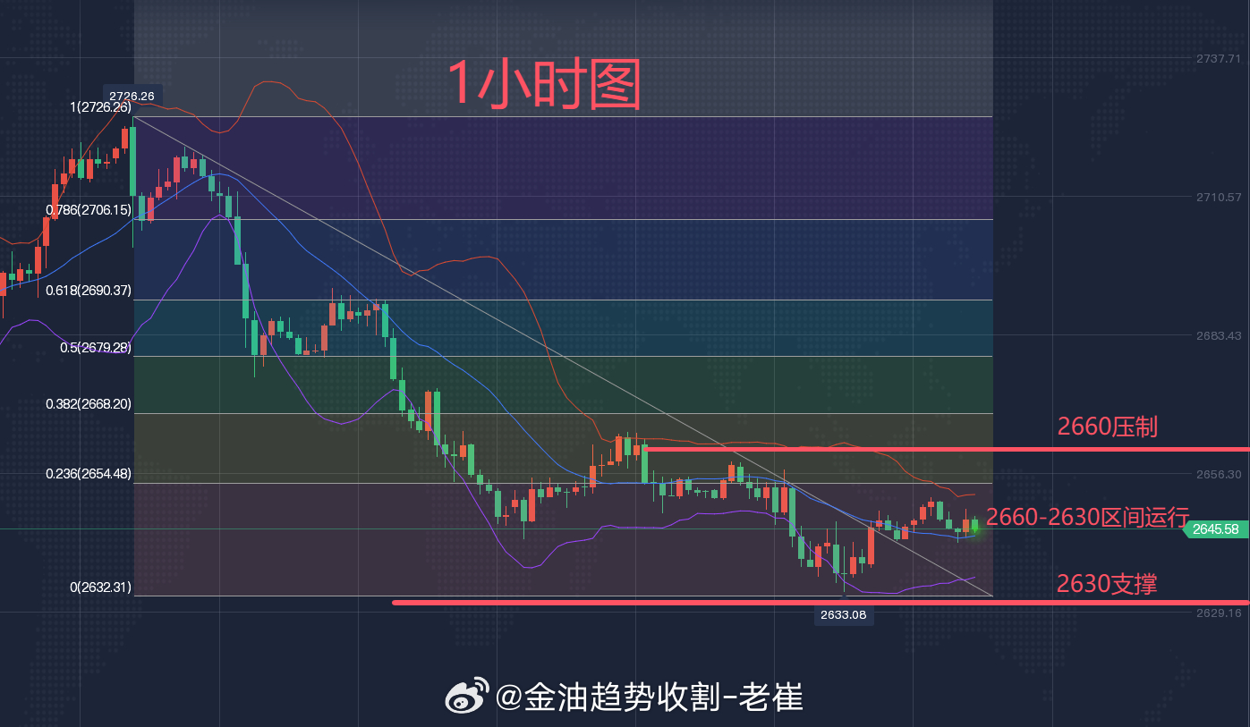 2025年1月1日 第13页