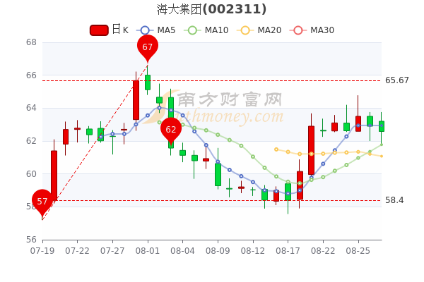 海大股票价格的探索之旅，小巷中的隐藏价值揭秘