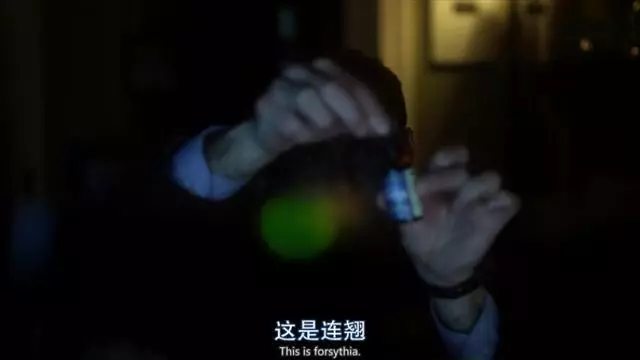 视觉与情感的盛宴，精彩病毒电影推荐