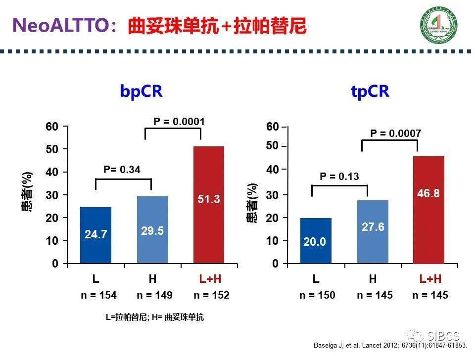 吡咯替尼价格探秘，小巷中的独特药价之旅。