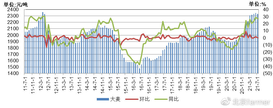 粮食价格行情解析，市场动态理解与应对策略查询指南