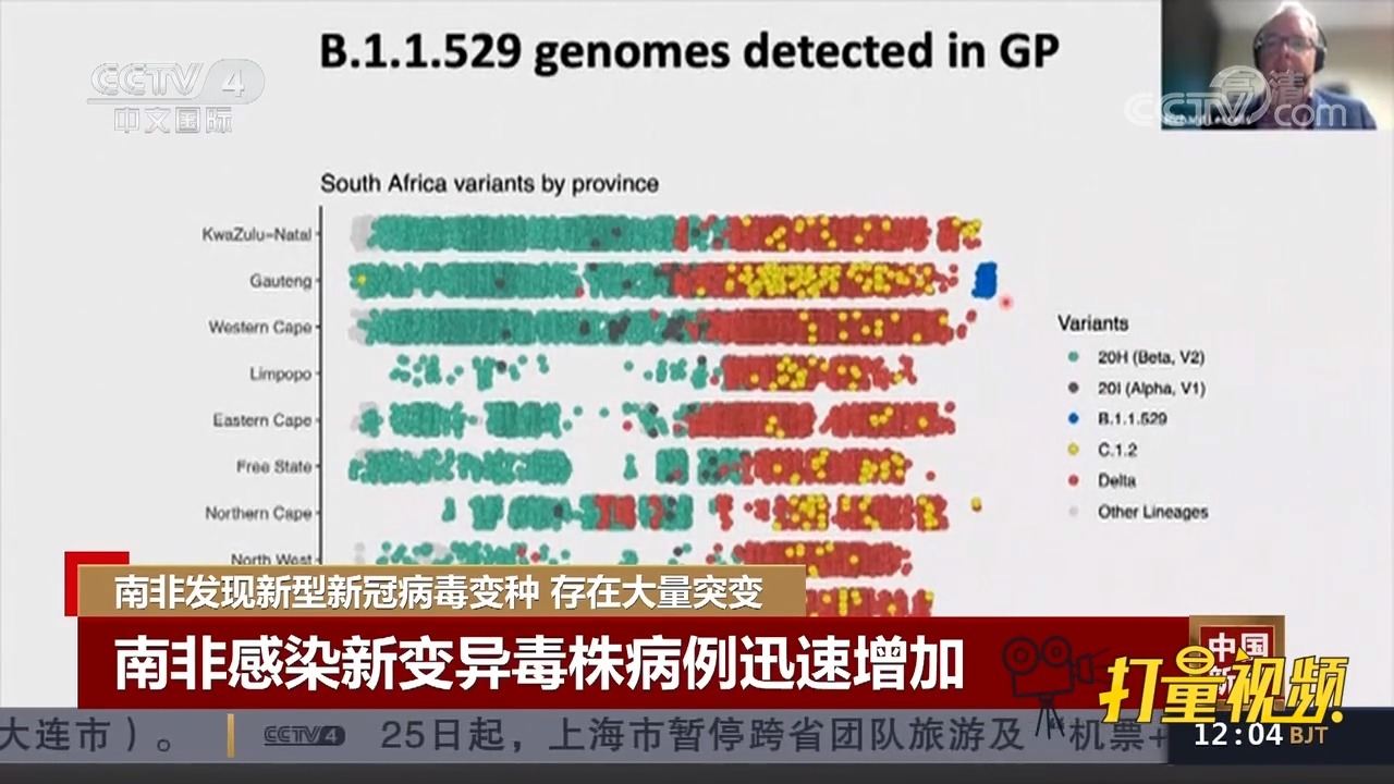 最新病毒资讯详解，了解、防范与自我保护指南